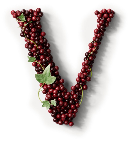 VIVIX Anti aging supplement