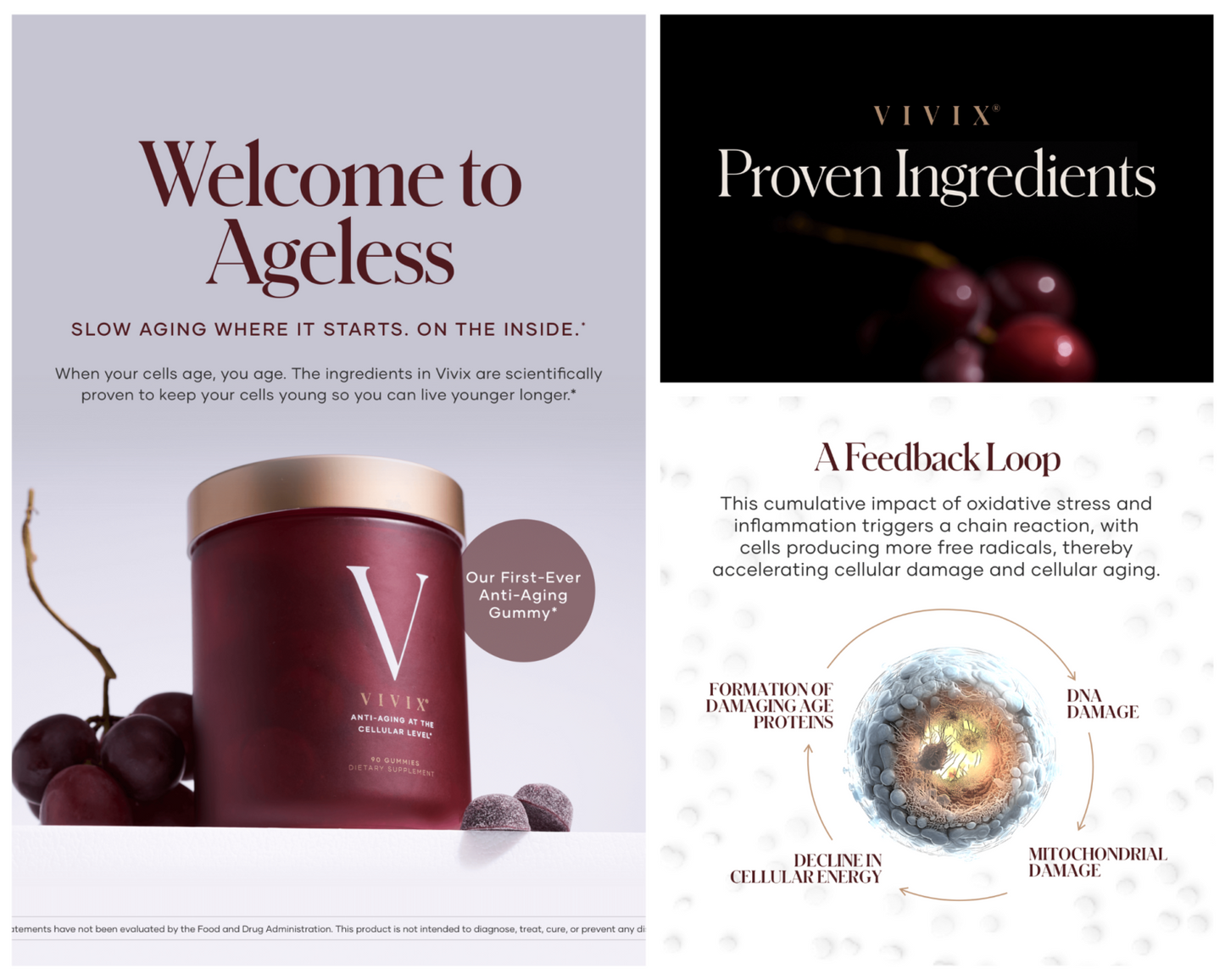 VIVIX Anti aging supplement